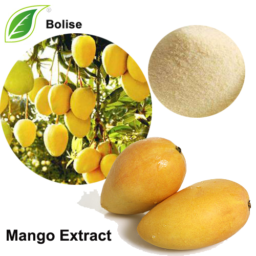 Mango Extract