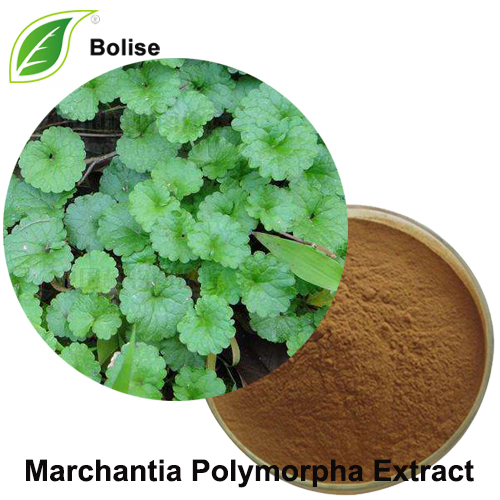 Extracte de Marchantia Polymorpha