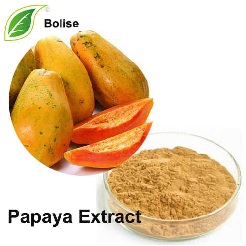 Extracto de papaya