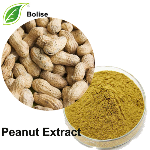 Arachis Extract (Peanut Extract)