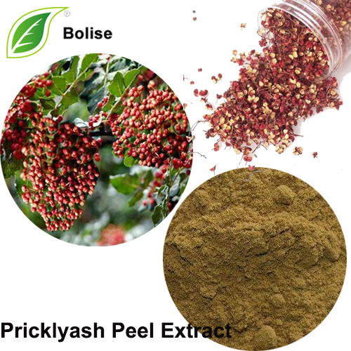 Pricklyash Peel Extract (Zanthoxylum Bungeanum Extract)