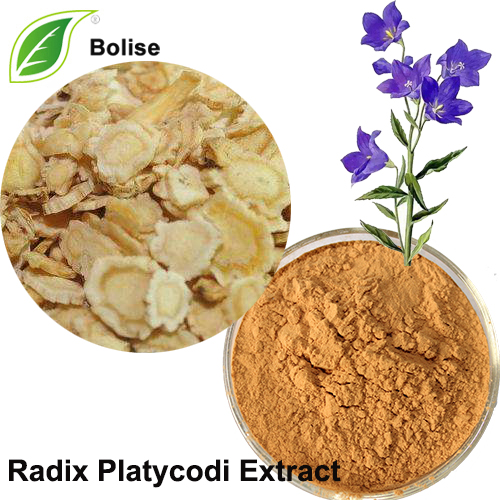 Radix Platycodi ekstrakt