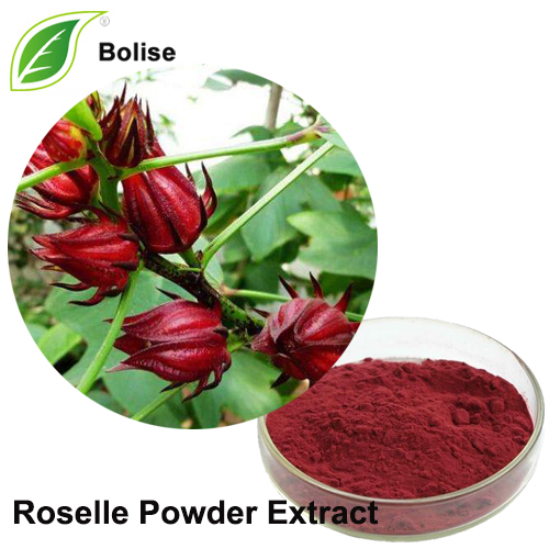 Roselle pulver extrakt