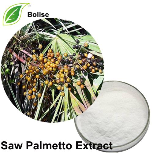 Llif Detholiad Palmetto