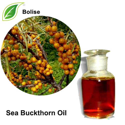 سمندری buckthorn تیل