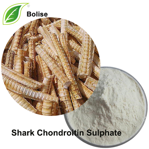 Շնաձկան Chondroitin Sulphate