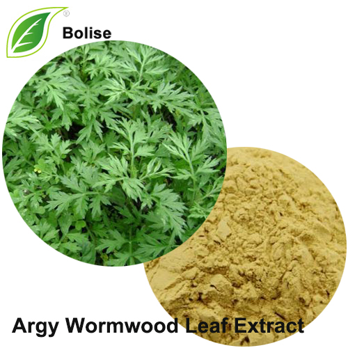 Argy Wormwood Leaf Extract (Folium Artemisiae Argyi Extract)
