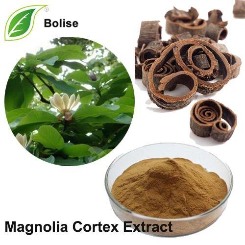 Estratto di corteccia di magnolia