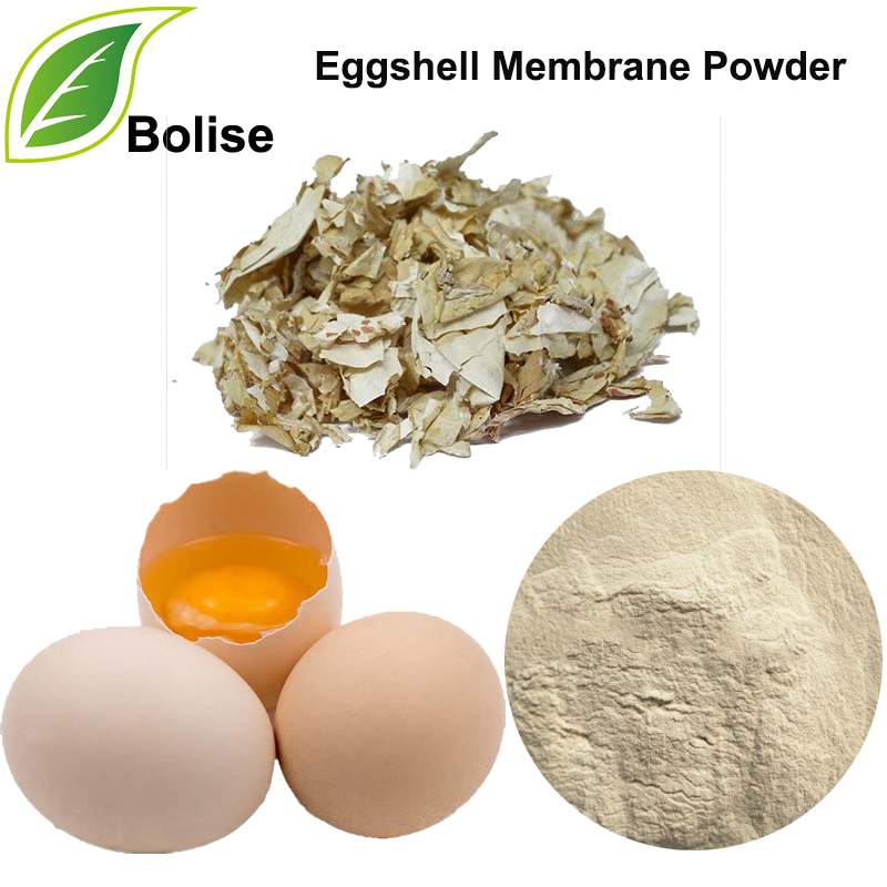 Natural Eggshell Membrane Powder