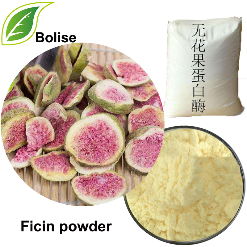 Ficin powder