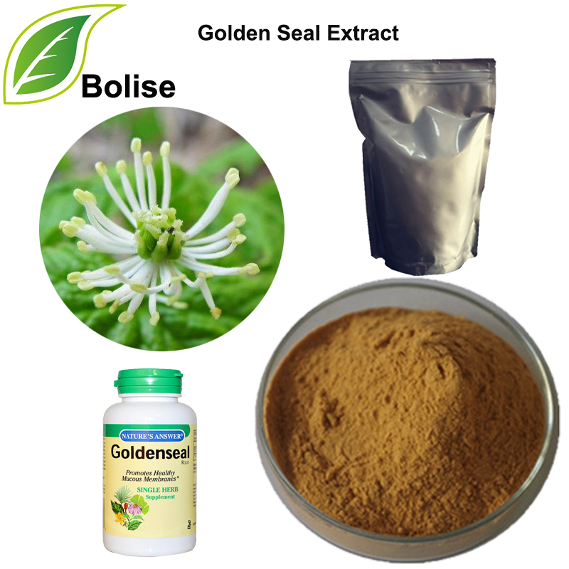 Golden Seal Extract(Goldenseal Extract)
