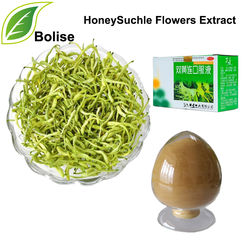 Honeysuckle Flower Extract
