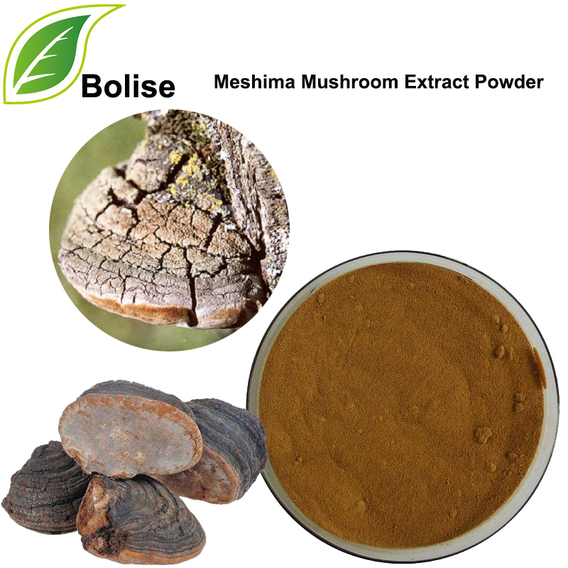 Meshima Mushroom Extract փոշի