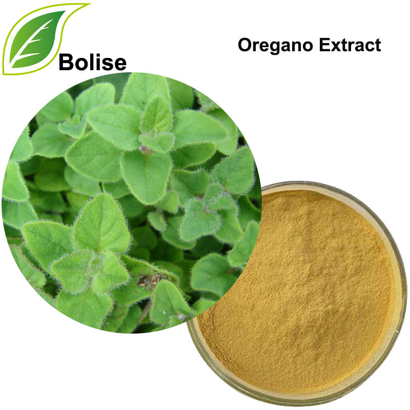 Oregano Extract