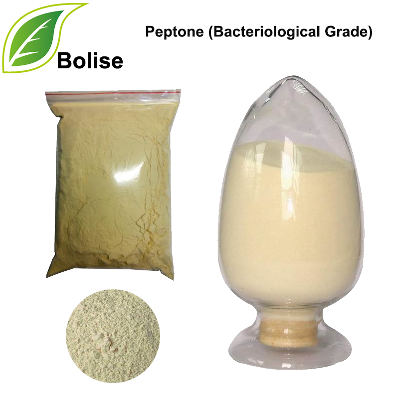 Peptone (Grad Batterjoloġiku)