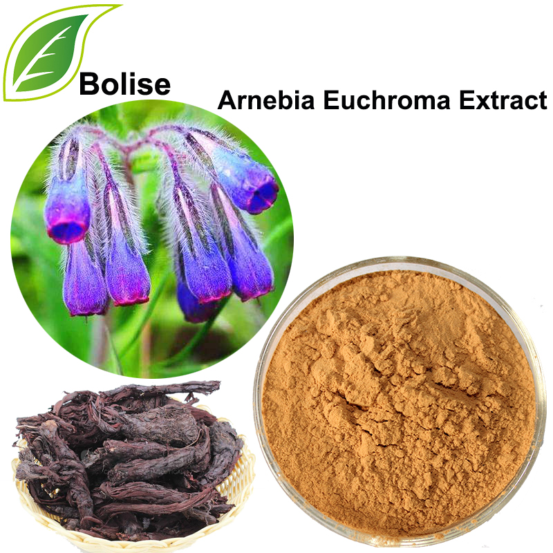 Arnebia Euchroma Extrakt