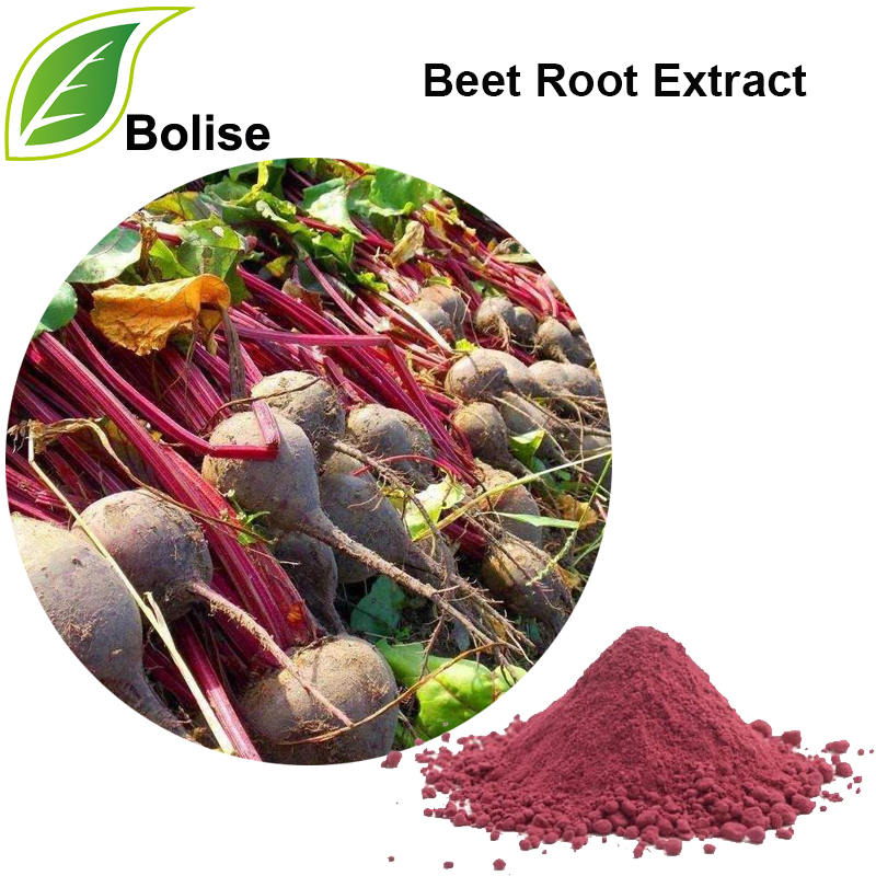 Beet Root Extract