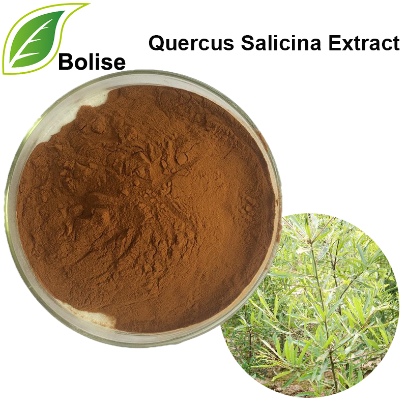 Estratt tal-Quercus Salicina