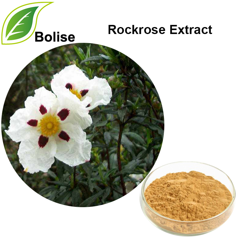 Soosaarida Rockrose