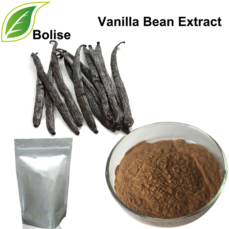 Ekstrak Kacang Vanilla