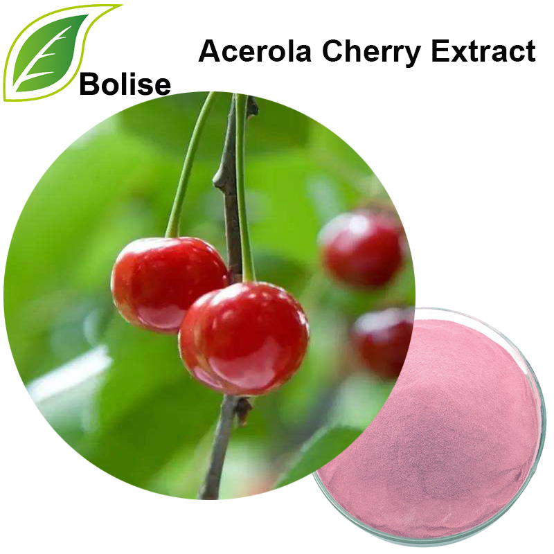 Extracto de cereixa de Acerola (Vc 25%)