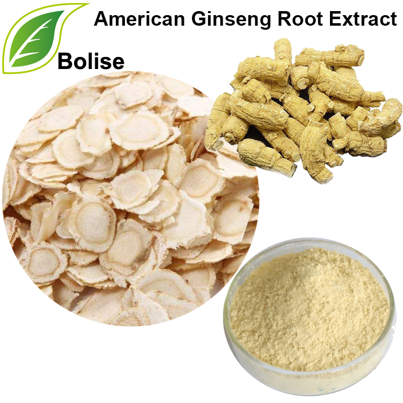 Extracto de raíz de ginseng americano