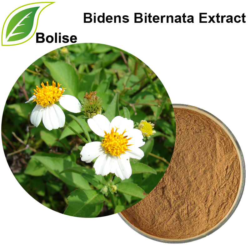 Extracto de Bidens Biternata