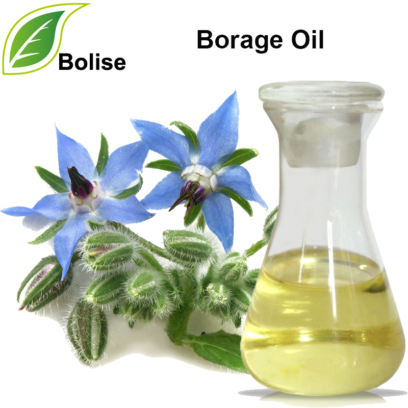 Borage Oil (Starflower Oil)