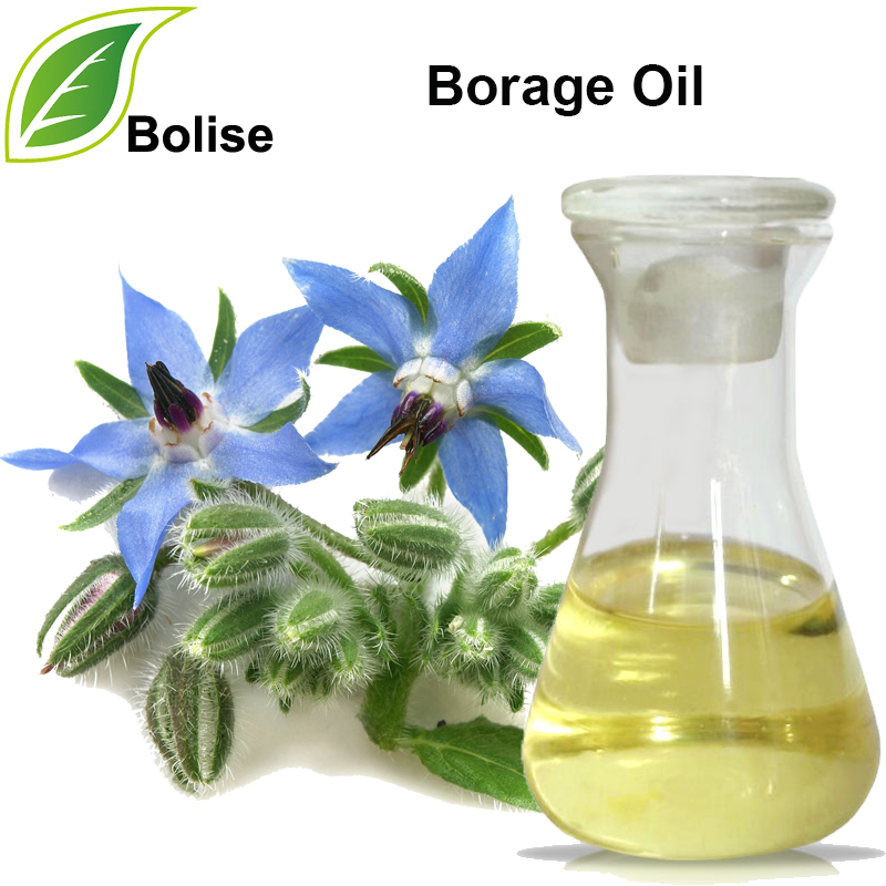 Vaj Borage (Vaj Starflower)