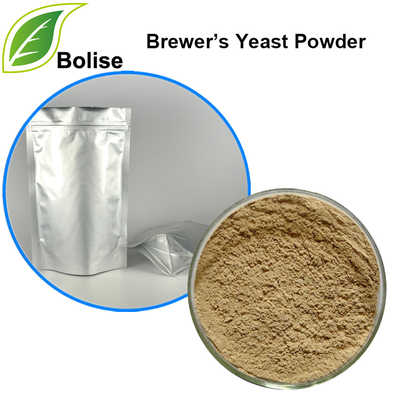 Brewer’s Yeast Powder