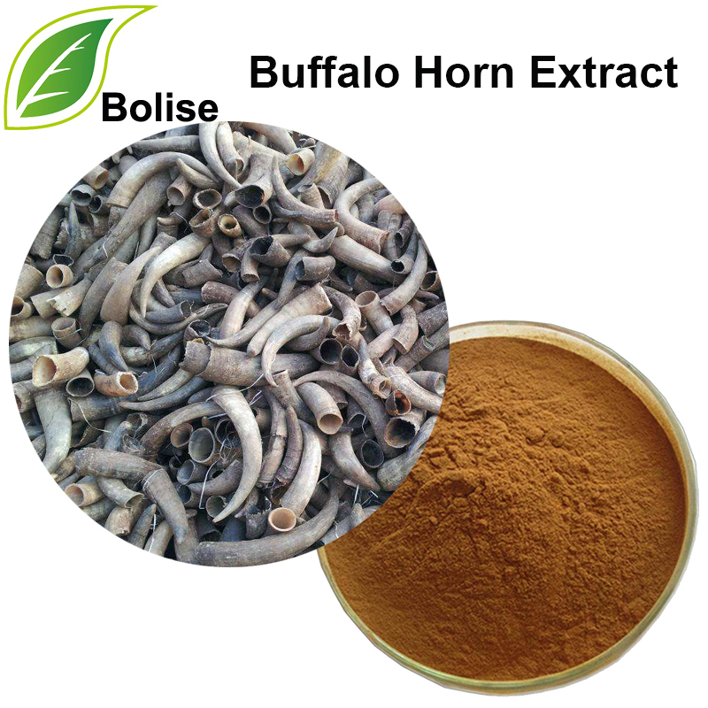 Extracte de banya de búfal (extracte de Cornu Bubali)