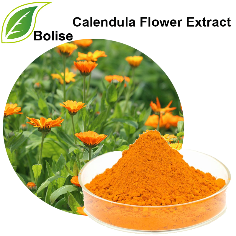 Extracto de flor de calendula