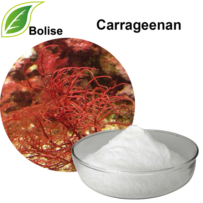 Carrageenan (Carrageenins)