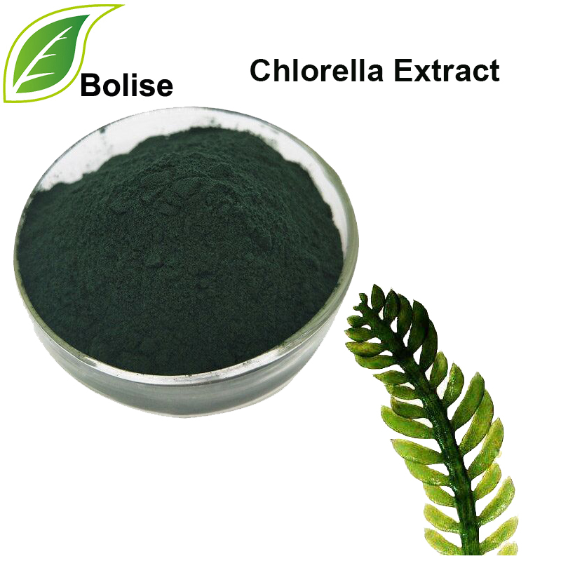 Chlorella-extract (extract van groene algen)