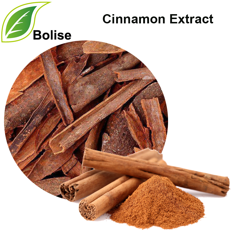 Cinnamon Extract (Cinnamon Bark Extract)