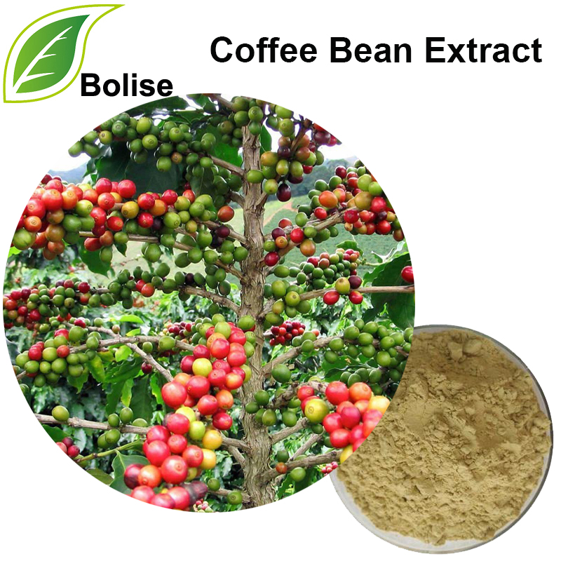 Detholiad Bean Coffi