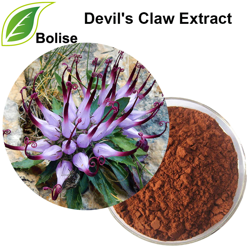Devil's Claw Extract (Grapple Plant Extract)