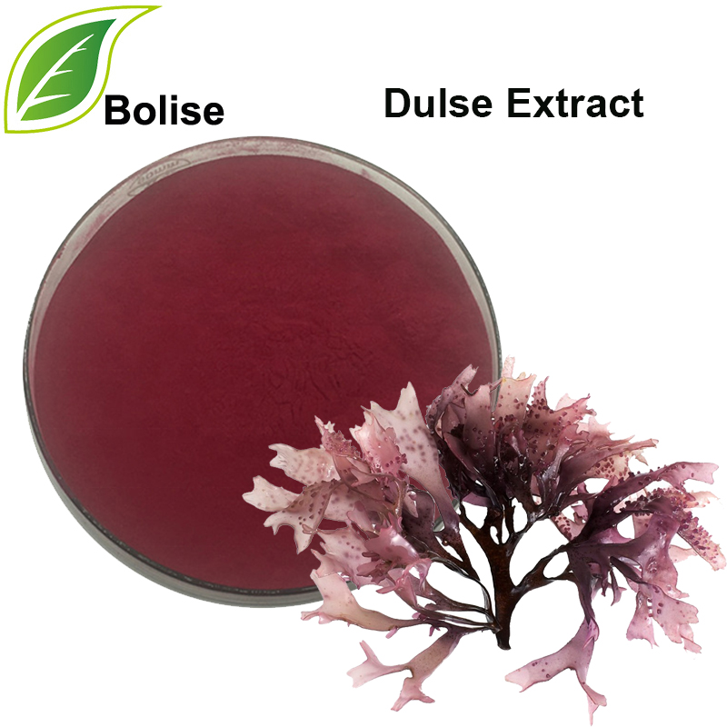 Ekstrak Dulse (Ekstrak Dillisk)