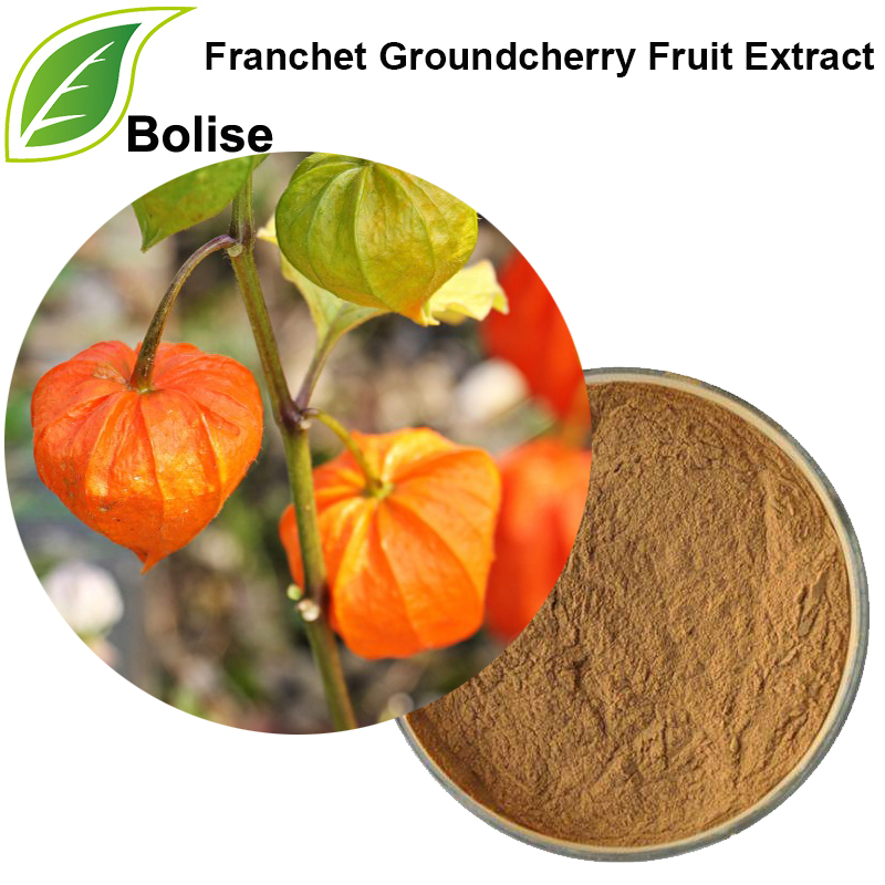 Ekstrak Buah Franchet Groundcherry