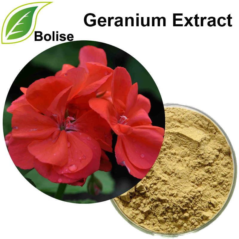 Geranium Extract