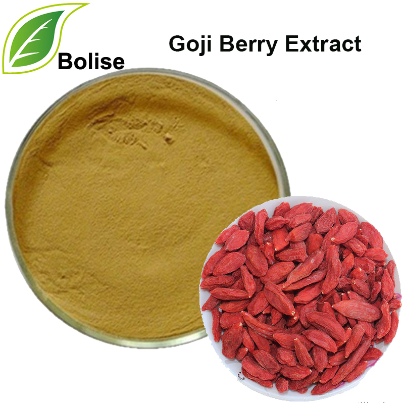 Goji Berry Uittreksel