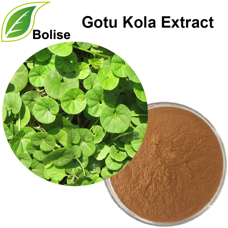 Gotu Kola-ekstrakt (Centella Asiatica-ekstrakt)