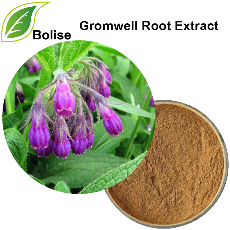 Gromwell Root Extract(Arnebia Root Extract)
