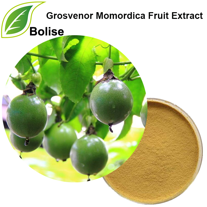 Grosvenor Momordica-fruitextract