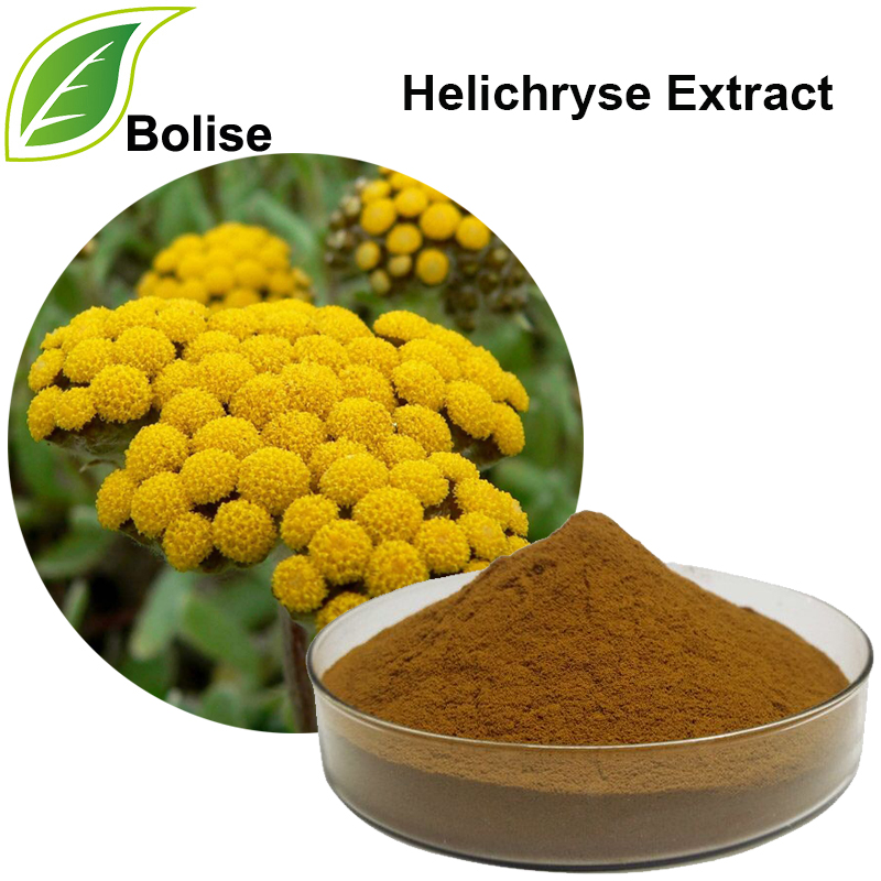 Helichryse Extract(Immortelle extract)