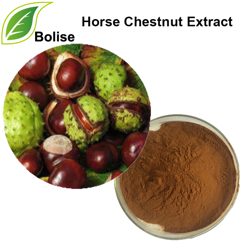 Sliocht Chestnut Capall (Sliocht Buckeye)