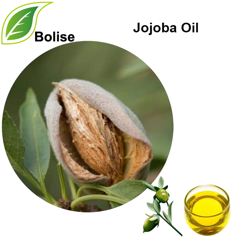 Jojoba lwil oliv