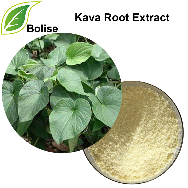 ສານສະກັດຈາກຮາກ Kava