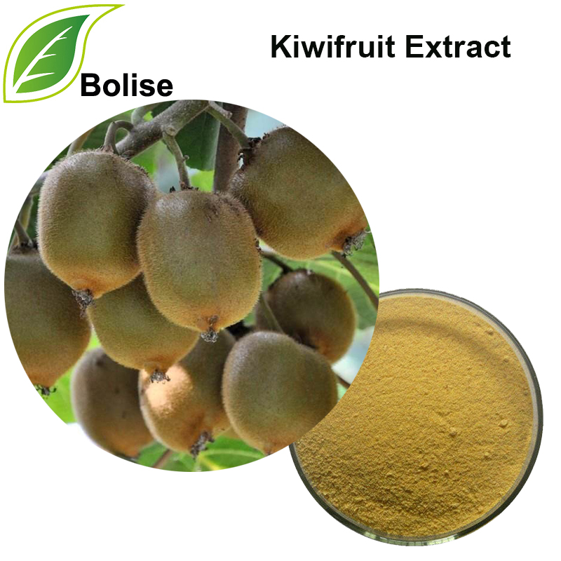 Kiwifruit-extract (extract van Chinese kruisbessen)