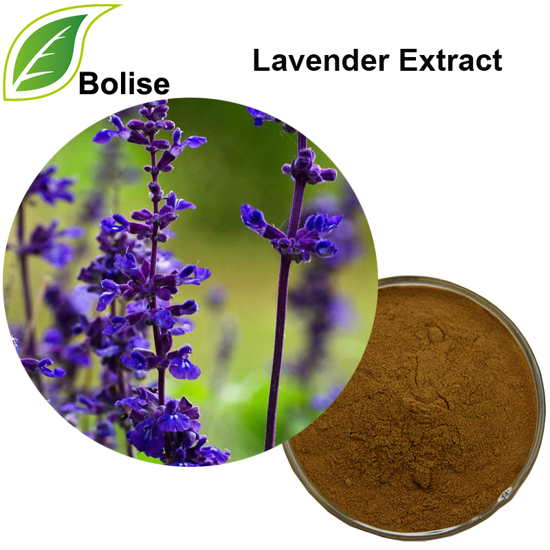 Extracte de lavanda